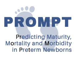 PROMPT logo